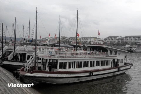 Đội tàu du lịch chuyên chở khách tham quan trên vịnh Hạ Long, Quảng Ninh. (Ảnh: Việt Hùng/Vietnam+)