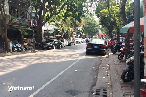 Một xe ôtô biển xanh vi phạm đỗ xe chẵn lẻ theo ngày trên phố Dã Tượng. (Ảnh: Nguyễn Hằng/Vietnam+)