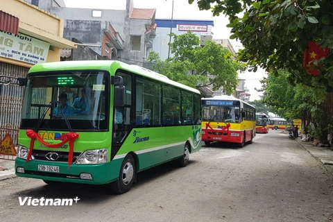 Hà Nội mở thêm 5 tuyến xe buýt mới. (Ảnh: Doãn Đức/Vietnam+)
