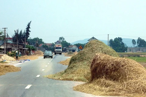 (Ảnh minh họa: Lan Xuân/TTXVN)