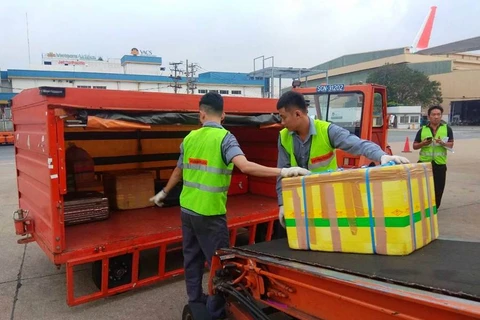 Nhân viên bốc xếp hàng hóa vào thùng hàng tại sân bay Tân Sơn Nhất. (Ảnh: Jetstar cung cấp)