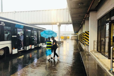 Nhân viên phục vụ mặt đất Vietnam Airlines cầm ô che cho hành khách khi lên xe ôtô, tránh bị mưa tại sân bay Tân Sơn Nhất. (Ảnh: Anh Tuấn/VNA)