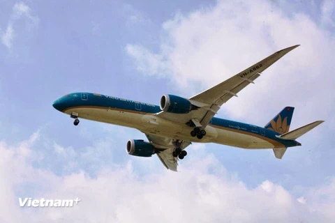 Máy bay của hãng hàng không Vietnam Airlines. (Ảnh: Việt Hùng/Vietnam+)