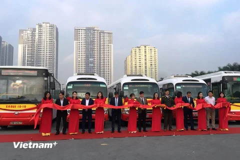 Tổng công ty Vận tải mở thêm 4 tuyến buýt mới vươn ra khu vực ngoại thành Hà Nội. (Ảnh: Việt Hùng/Vietnam+)