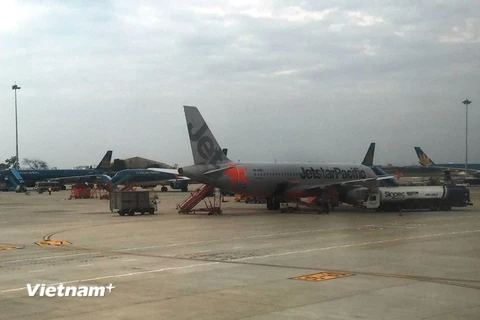 Vietnam Airlines, Jetstar vận chuyển đào, mai dịp Tết Nguyên Đán. (Ảnh: Việt Hùng/Vietnam+)