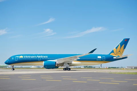 Vietnam Airlines khuyến cáo hành khách tuân thủ quy định mang thực phẩm khi nhập cảnh. (Ảnh: VNA)
