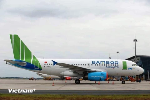 Bamboo Airways muốn nâng quy mô đội tàu bay khai thác lên trên 30 chiếc. (Ảnh: Việt Hùng/Vietnam+)