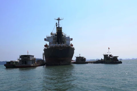 Đội tàu biển đang đứng trước nguy cơ bị mất thị phần do nguồn hàng bị san bớt sang vận tải sông pha biển. (Ảnh: Việt Hùng/Vietnam+)