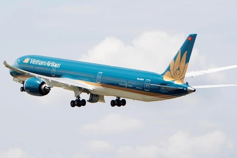 Máy bay của hãng hàng không Vietnam Airlines. (Ảnh: CTV/Vietnam+)