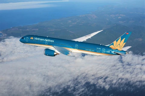 Tàu bay thân rộng Boeing 787-9 Dreamliner của hãng hàng không Vietnam Airlines. (Ảnh: CTV/Vietnam+)