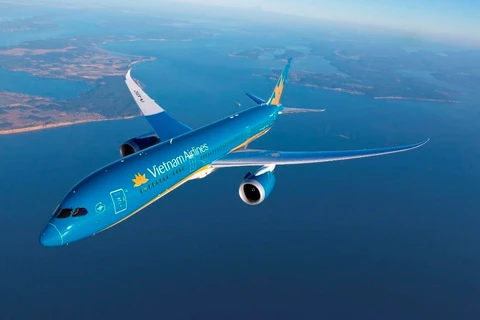 Máy bay của hãng hàng không Vietnam Airlines. (Ảnh: CTV/Vietnam+) 