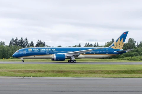 Máy bay của hãng hàng không Vietnam Airlines. (Ảnh: CTV/Vietnam+)