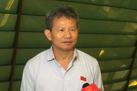 Ông Đỗ Văn Sinh, Ủy viên Thường trực Ủy ban kinh tế của Quốc hội. (Ảnh: CTV/Vietnam+)