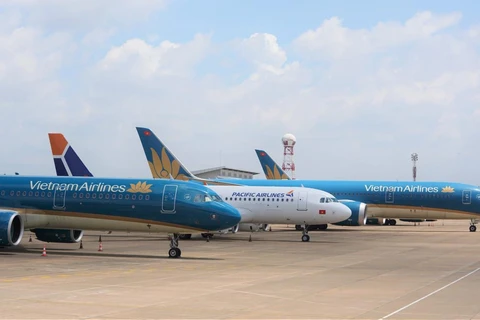 Vietnam Airlines đang chiếm 51,7% thị phần vận chuyển hành khách nội địa. (Ảnh: CTV/Vietnam+)