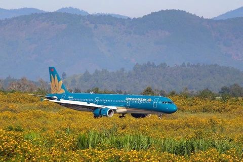 Vietnam Airlines đồng loạt mở các đường bay nội địa trong dịp cao điểm Hè. (Ảnh: CTV/Vietnam+)