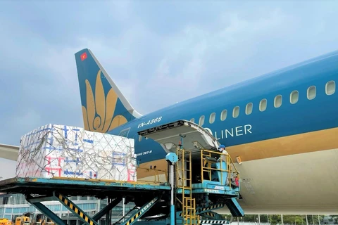 Siêu máy bay Boeing 787-9 của hãng hàng không Vietnam Airlines vận chuyển vải thiều vào Thành phố Hồ Chí Minh. (Ảnh: CTV/Vietnam+)