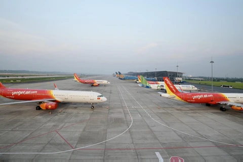 Máy bay của các hãng hàng không Việt Nam nằm sân tại Nội Bài do ảnh hưởng của dịch COVID-19.(Ảnh: CTV/Vietnam+)