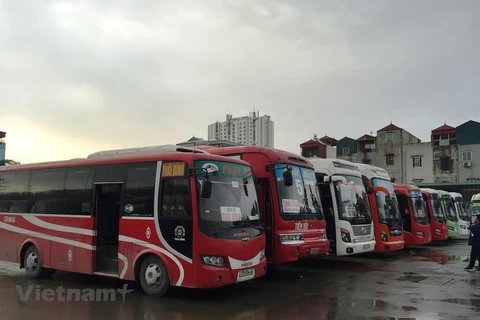 Một số tuyến vận tải xe khách cố định liên tỉnh đã được mở lại trong ngày 13/10. (Ảnh: CTV/Vietnam+)
