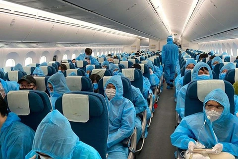 Hành khách trên một chuyến bay quốc tế về Việt Nam. (Ảnh: CTV/Vietnam+)