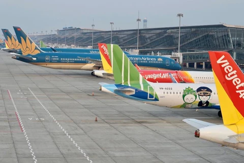 Máy bay của các hãng hàng không Việt Nam tại sân bay Nội Bài. (Ảnh: CTV/Vietnam+)