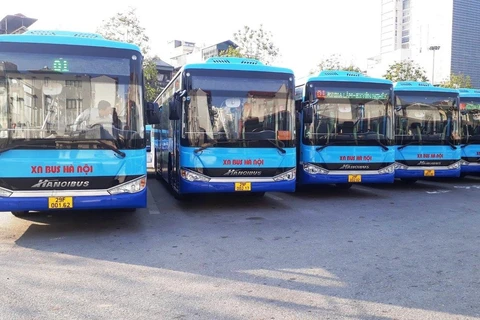 Tổng công ty vận tải Hà Nội bố trí xe buýt trực dự phòng và tăng cường lượt xe chạy để phục vụ nhu cầu đi lại dịp 2/9. (Ảnh: CTV/Vietnam+)