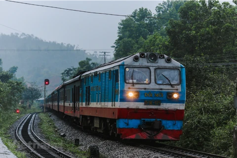 Đoàn tàu của Tổng Công ty Đường sắt Việt Nam chạy trên hành trình Bắc-Nam. (Ảnh: Minh Sơn/Vietnam+)
