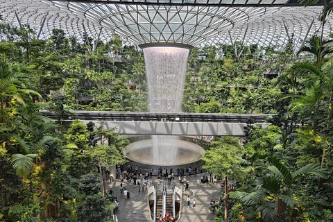 Sân bay quốc tế Changi của Singapore thu hút khách du lịch nhờ thác nước Rain Vortex cao nhất thế giới nằm trong nhà. (Ảnh: CTV/Vietnam+)