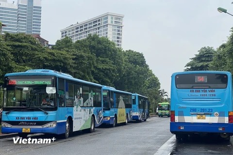 Kiến nghị dừng hoạt động loạt tuyến buýt tại Hà Nội có mức trợ giá cao kể từ ngày 1/4. (Ảnh: Việt Hùng/Vietnam+)