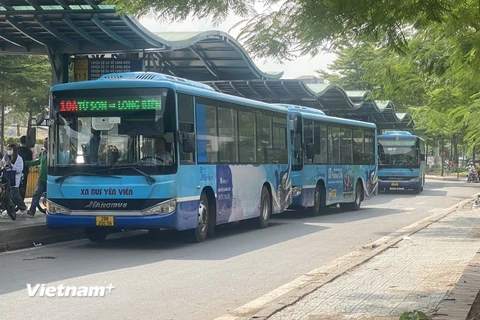 Hà Nội đã lên lộ trình và sẽ hiện thực hóa việc chuyển đổi xe buýt sang sử dụng năng lượng Xanh. (Ảnh: Việt Hùng/Vietnam+)