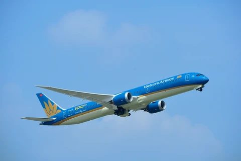 Máy bay của Hãng hàng không Vietnam Airlines. (Ảnh: PV/Vietnam+)