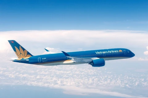 Máy bay của Hãng hàng không Vietnam Airlines. (Ảnh: PV/Vietnam+)