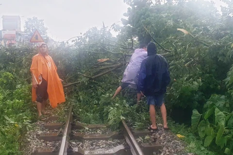 Cán bộ, công nhân viên ngành đường sắt khắc phục vị trí cây đổ vào đường ray để thông tàu chạy nhanh nhất. (Ảnh: PV/Vietnam+)