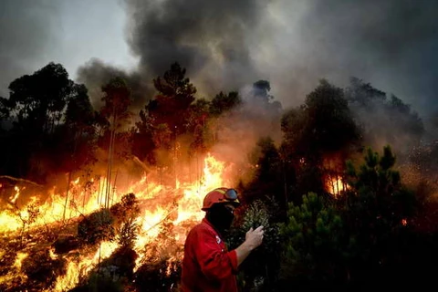 Nhân viên cứu hỏa nỗ lực dập các đám cháy rừng đang lan rộng tại Talhadas, gần Oliveira de Frades, miền Trung Bồ Đào Nha. (Nguồn: AFP/TTXVN)