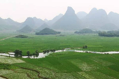 Trung Quốc: Trọng tâm đẩy mạnh chính sách "tam nông"