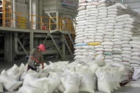Đóng gói gạo xuất khẩu. (Nguồn: TTXVN)
