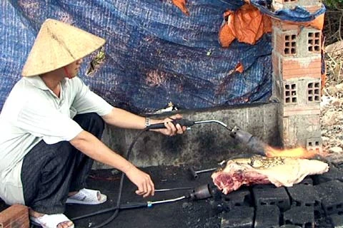 Quảng Nam: Bắt quả tang cơ sở giết mổ làm giả thịt lợn rừng
