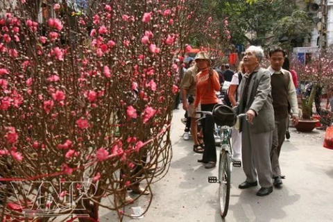 Chợ hoa Tết và thú chơi tao nhã của người Việt 