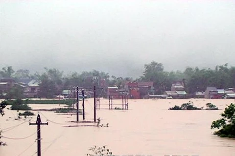 Lũ lụt tại Quảng Nam hồi tháng 11/2013. (Nguồn: TTXVN)