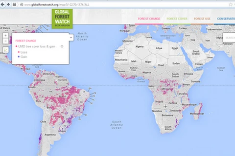 Dữ liệu về các diện tích rừng bị phá trên trang globalforestwatch.org. 