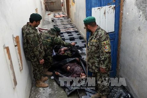 Binh sỹ quân đội Afghanistan và thi thể các phiến quân Taliban trong một vụ truy quét tại tỉnh Kunar. (Nguồn: AFP/TTXVN)