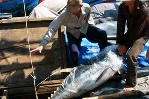 Nông-thủy sản Việt Nam tự tin chinh phục thị trường Nhật