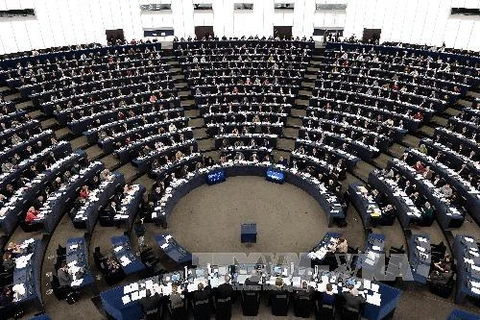 Một phiên họp của EP tại thành phố Strasbourg, phía đông của Pháp. (Nguồn: AFP/TTXVN)