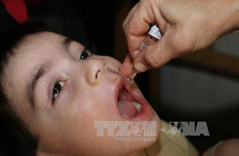 Cho trẻ em uống vắcxin phòng bại liệt tại trung tâm y tế ở Damascus. (Nguồn: THX/TTXVN)