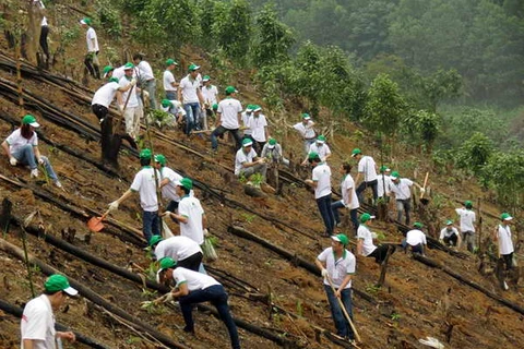 Honda Việt Nam hỗ trợ 4,9 tỷ đồng trồng rừng ở Bắc Kạn