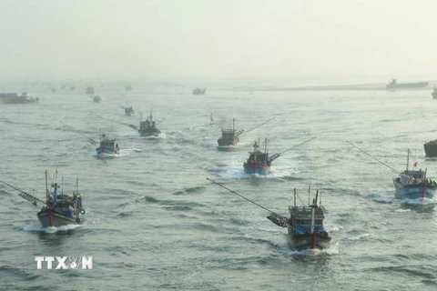 Đà Nẵng đưa nhiều tàu công suất lớn vươn khơi, bám biển