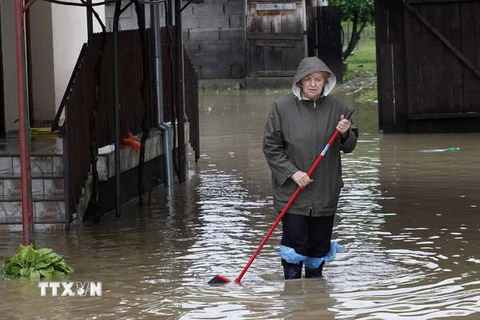 Cảnh báo nguy cơ bùng phát dịch bệnh sau lũ lụt ở vùng Balkan