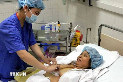 Khai trương khóa đào tạo y tá và điều dưỡng Việt Nam tại Nhật