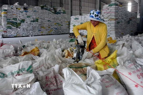 Philippines quyết định nhập thêm 200.000 tấn gạo từ Việt Nam