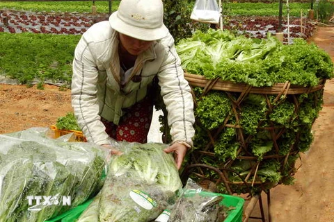 Thành phố Hồ Chí Minh: Thực phẩm tươi sống tăng giá đột biến