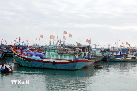 Quảng Nam thành lập thêm nghiệp đoàn nghề cá xã Tam Giang